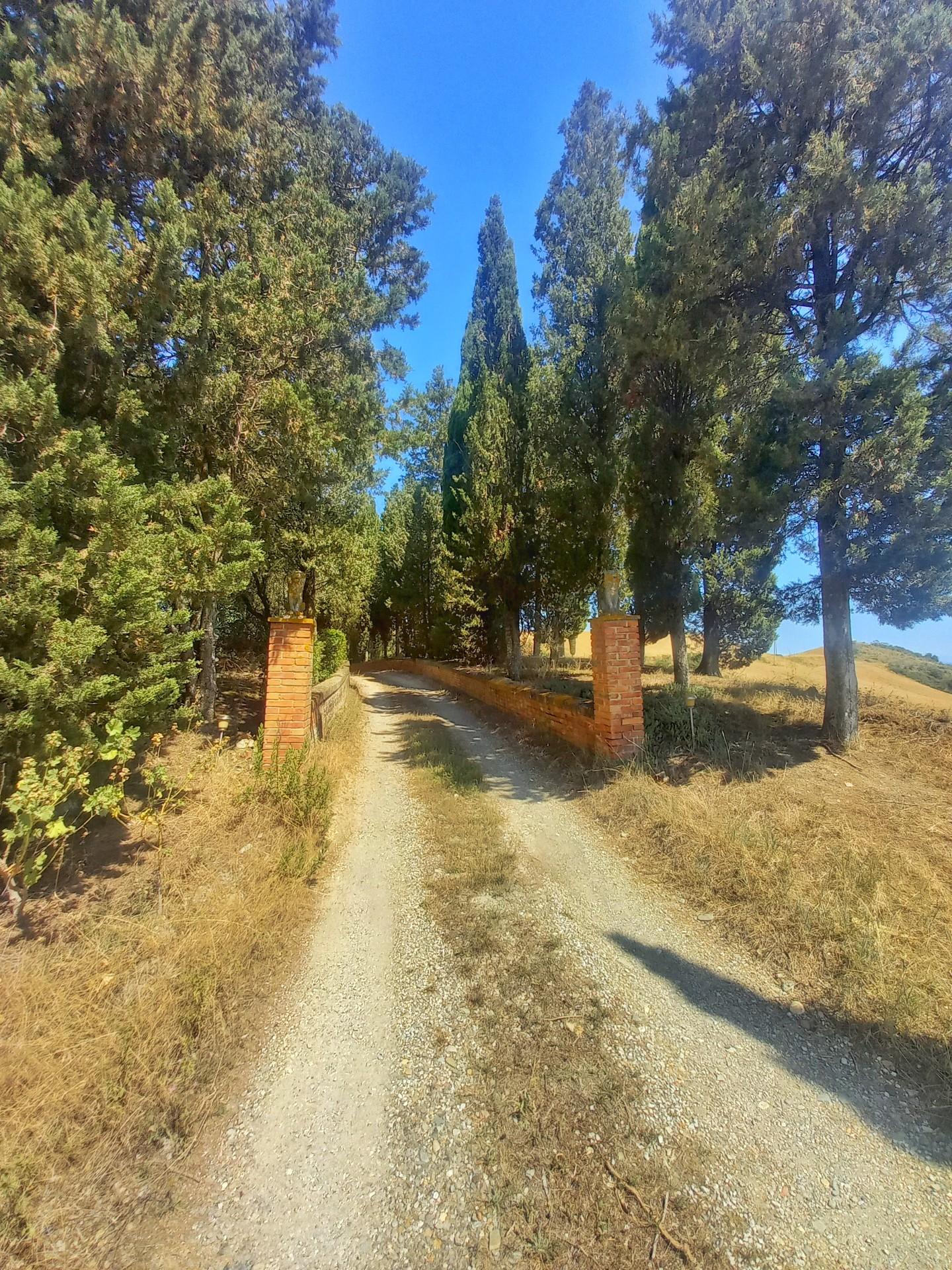 Immagine 34 di Casa colonica in vendita  a Montaione