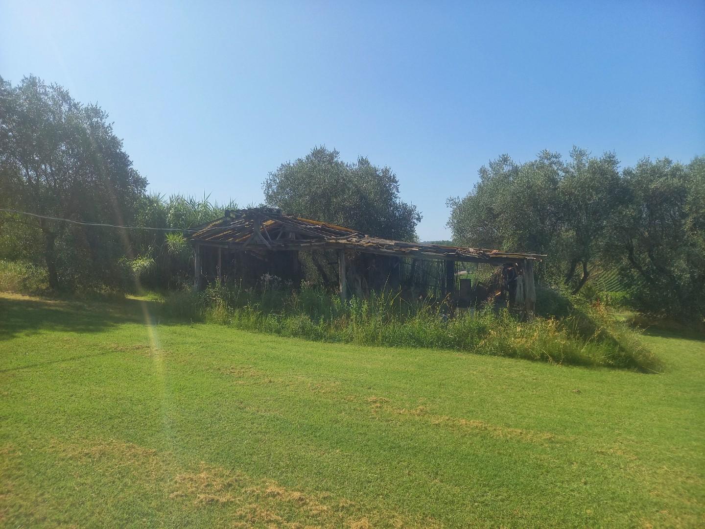 Immagine 25 di Casa colonica in vendita  a Montaione