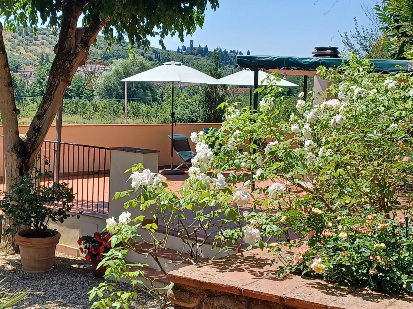 Immagine 15 di Casa colonica in vendita  a Capraia E Limite