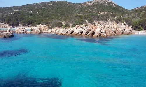 Immagine 8 di Appartamento in affitto  a Carrara