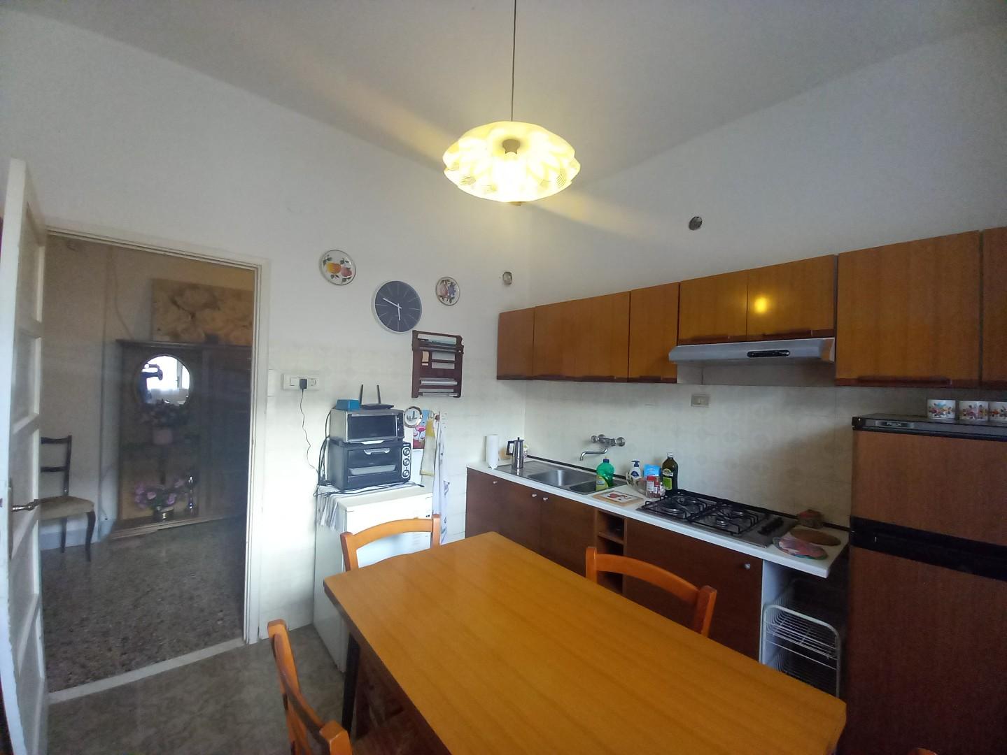 Immagine 14 di Appartamento in vendita  a Rosignano Marittimo