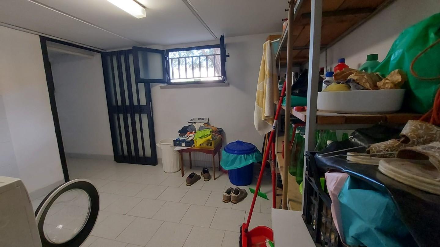 Immagine 26 di Villetta a schiera in vendita  a Campiglia Marittima