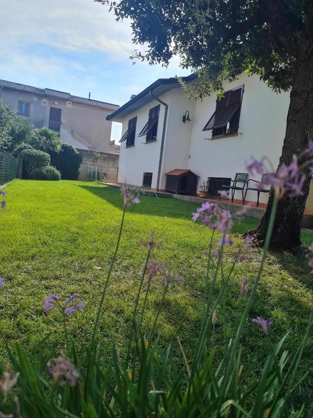 Immagine 30 di Villetta a schiera in vendita  a Campiglia Marittima