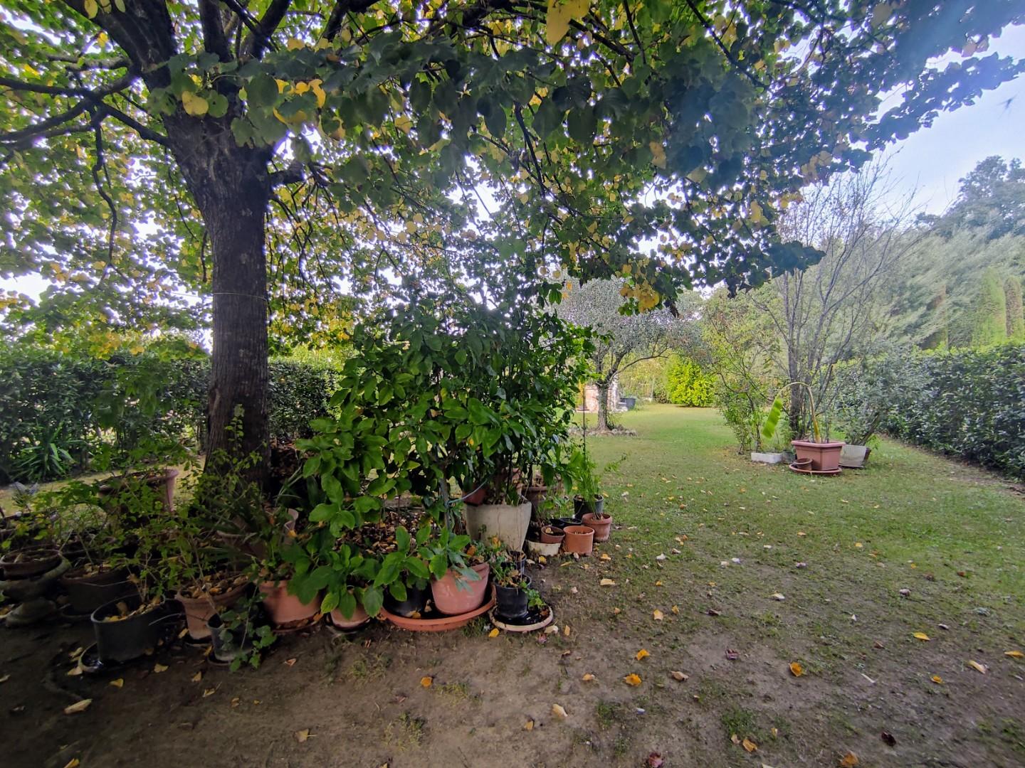 Immagine 34 di Casa semindipendente in vendita  a Fucecchio