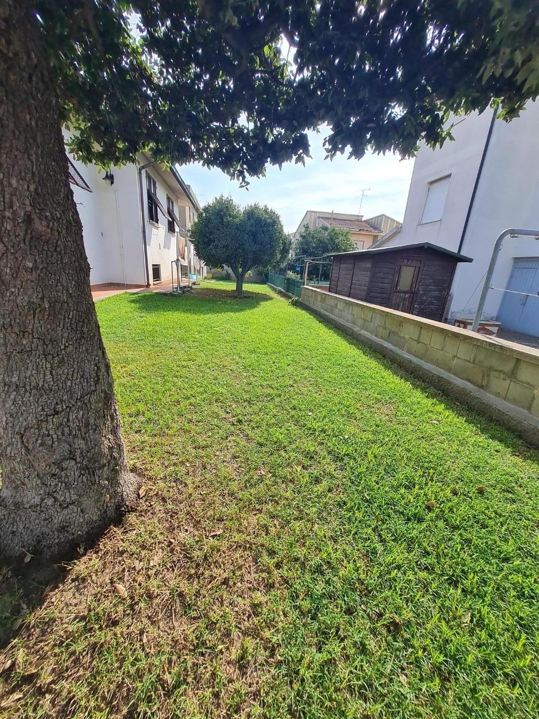 Foto annuncio 31
