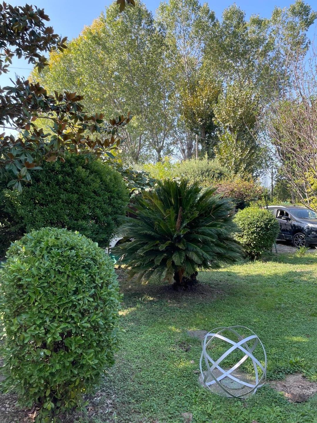 Immagine 31 di Rustico / casale in vendita  a San Giuliano Terme