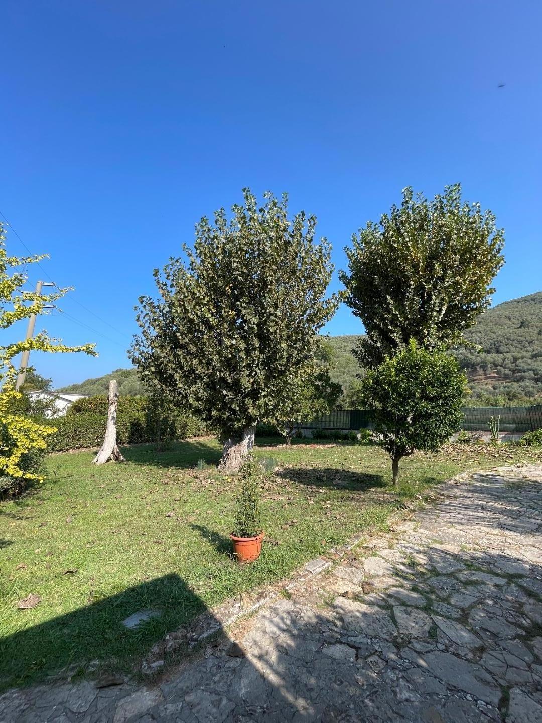 Immagine 30 di Rustico / casale in vendita  a San Giuliano Terme