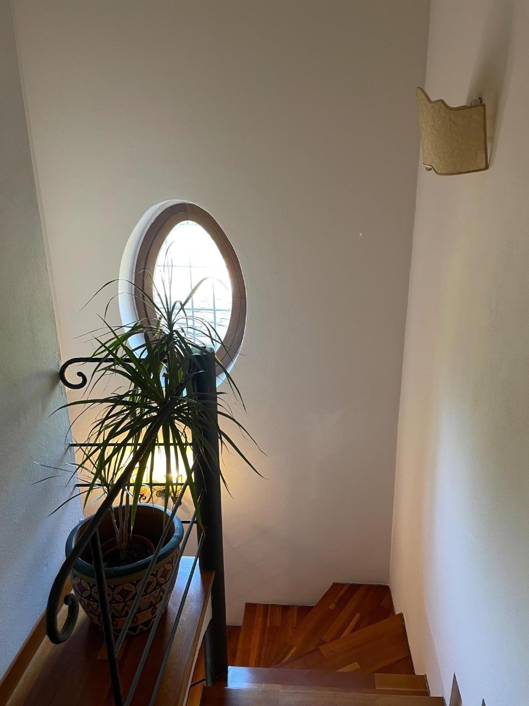 Immagine 27 di Rustico / casale in vendita  a San Giuliano Terme