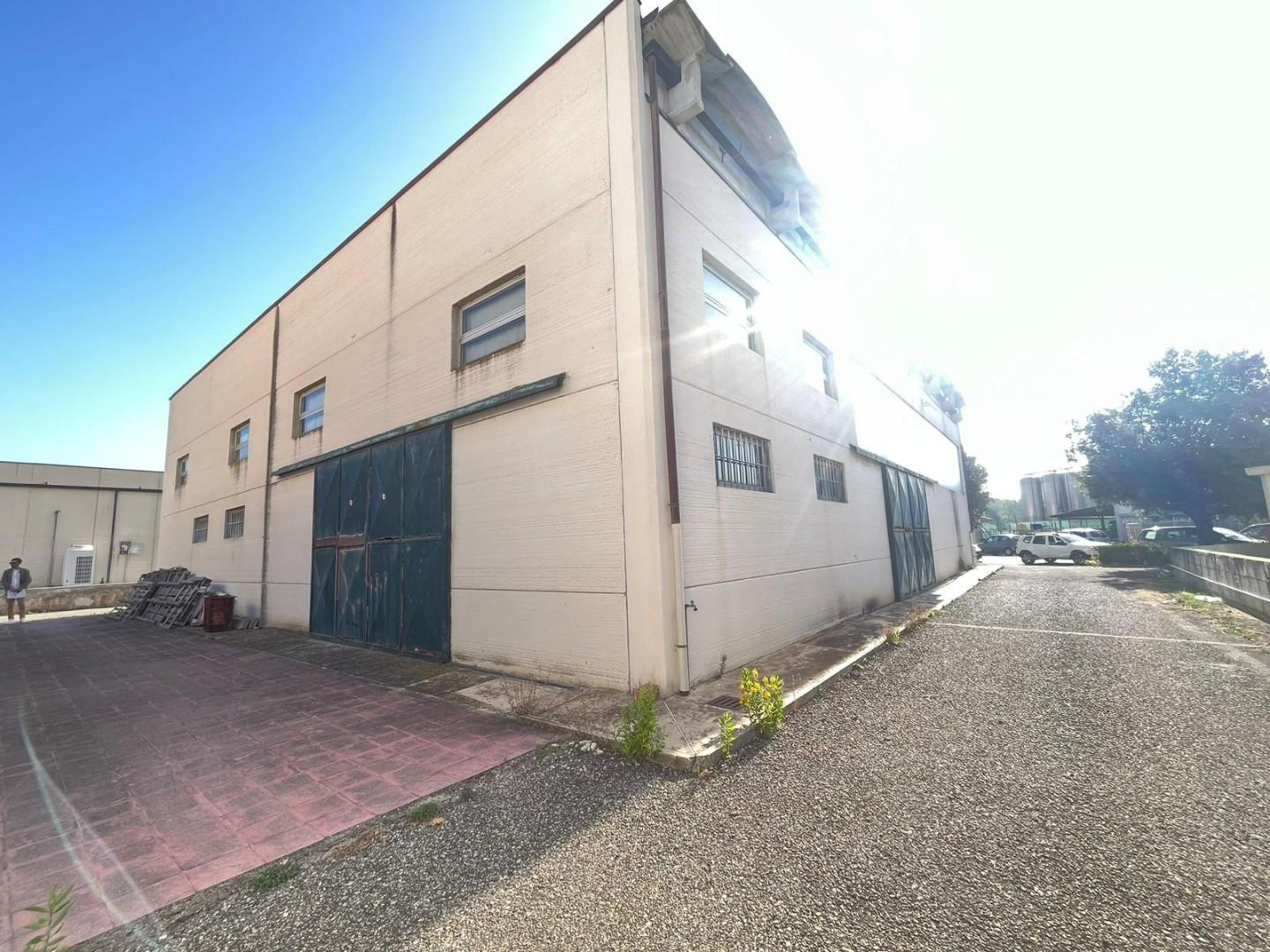 Foto annuncio 8