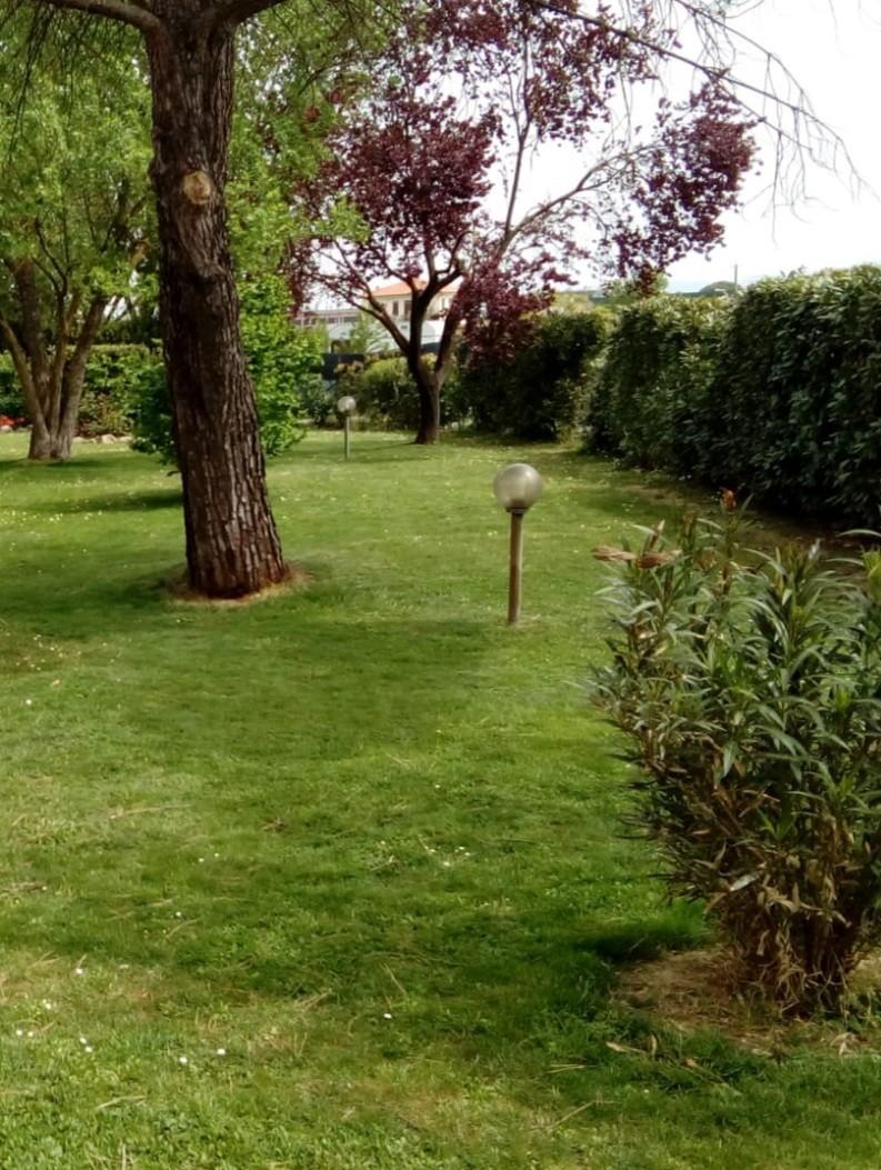 Immagine 12 di Casa bifamiliare in vendita  a Castelfranco Di Sotto