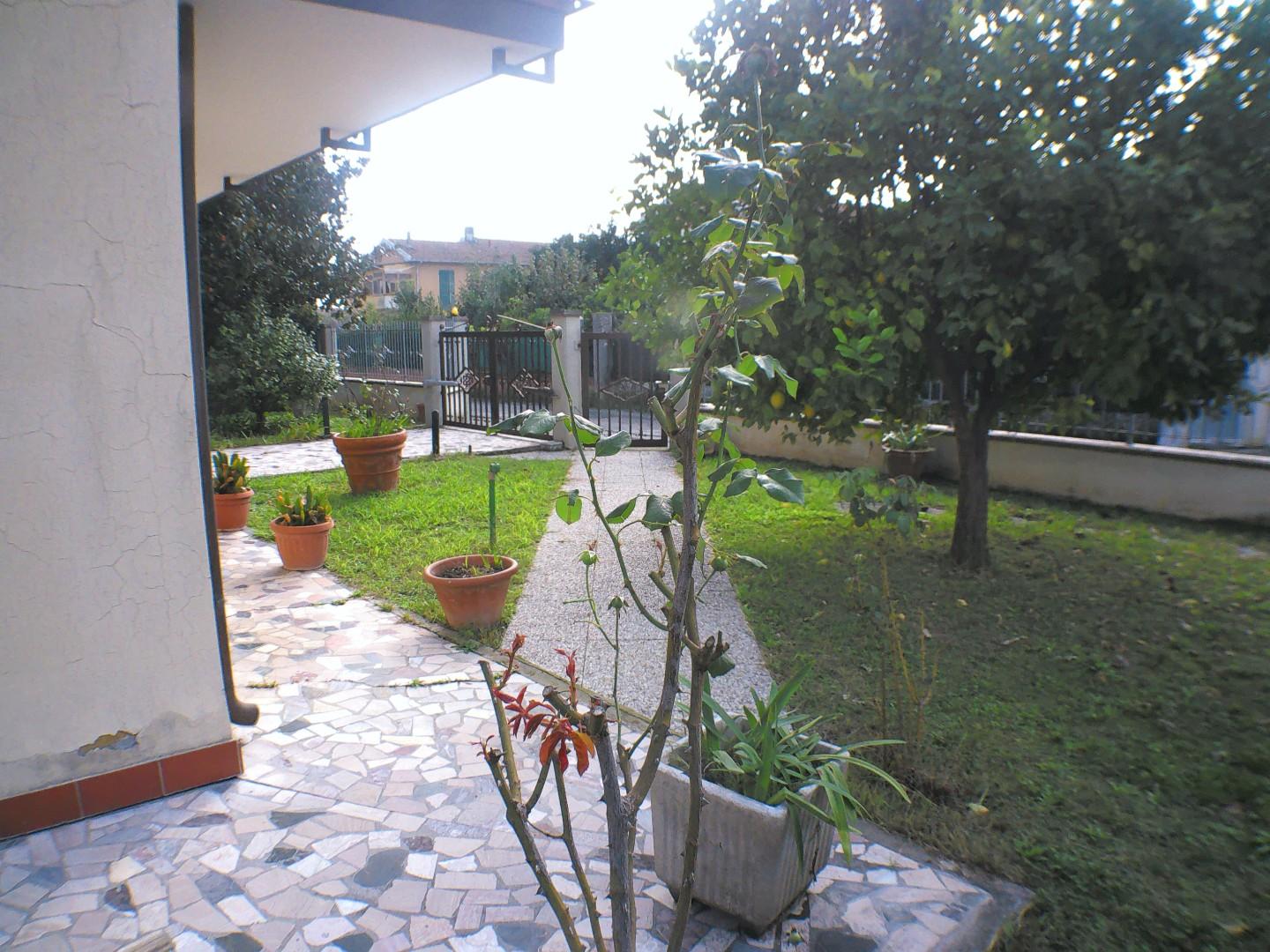 Immagine 7 di Casa indipendente in vendita  a Carrara