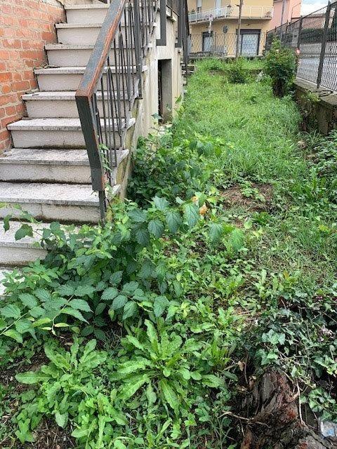 Immagine 3 di Terratetto in vendita  a Capraia E Limite