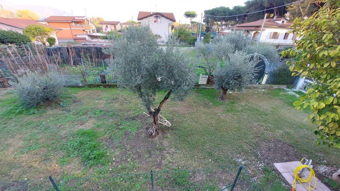 Immagine 8 di Casa semindipendente in vendita  a Massa