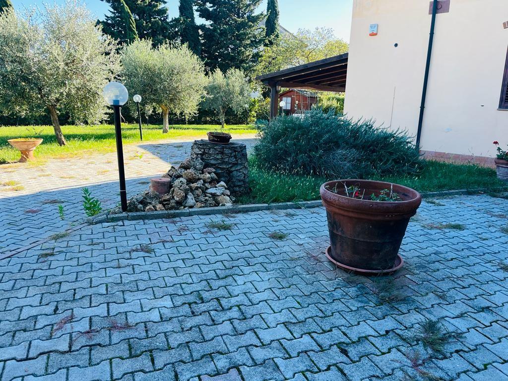 Immagine 4 di Appartamento in vendita  a Piombino