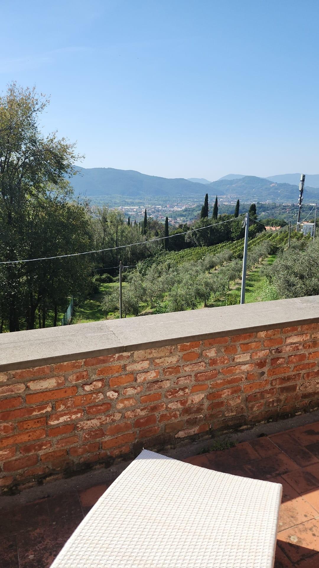 Immagine 11 di Villa in vendita  a Fosdinovo