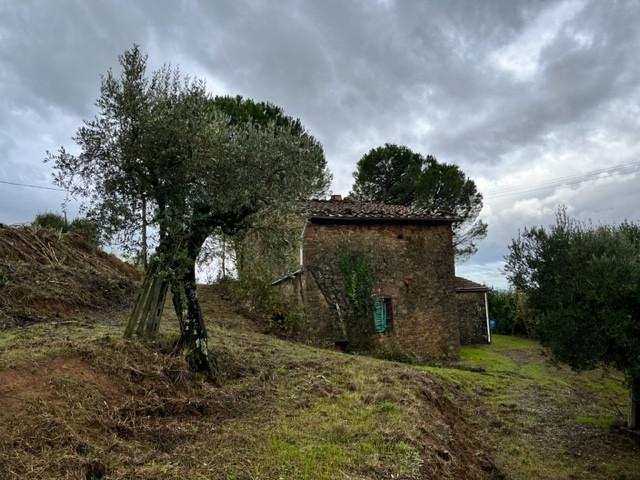 Foto annuncio 9