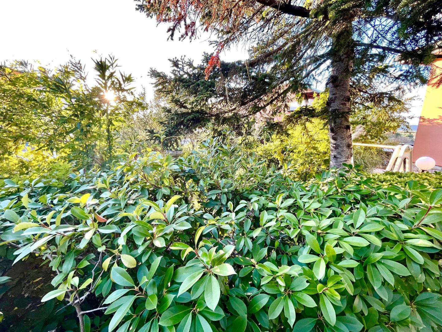 Immagine 14 di Villa in vendita  a Montopoli In Val D'arno