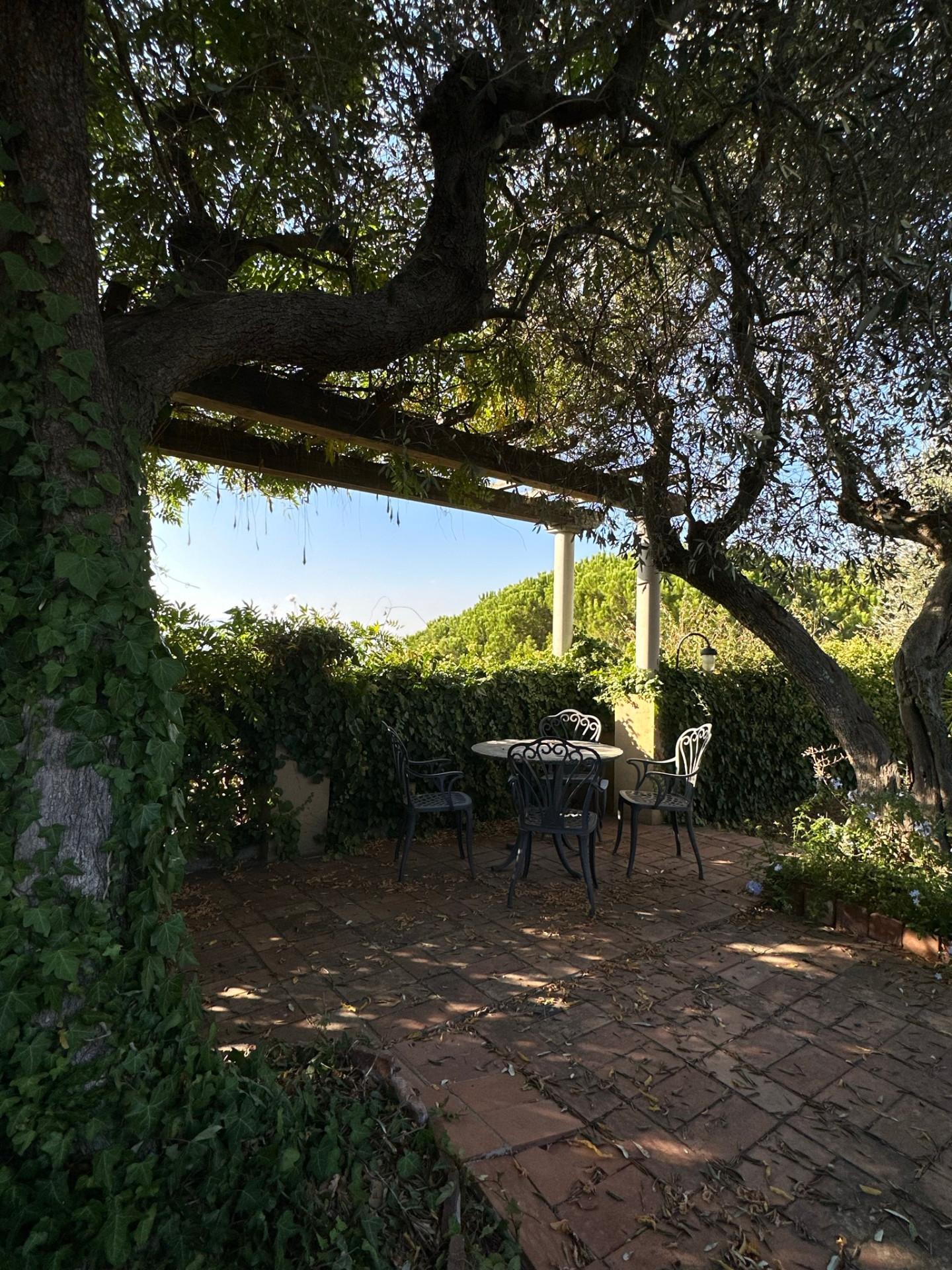 Immagine 50 di Villa in vendita  a San Miniato