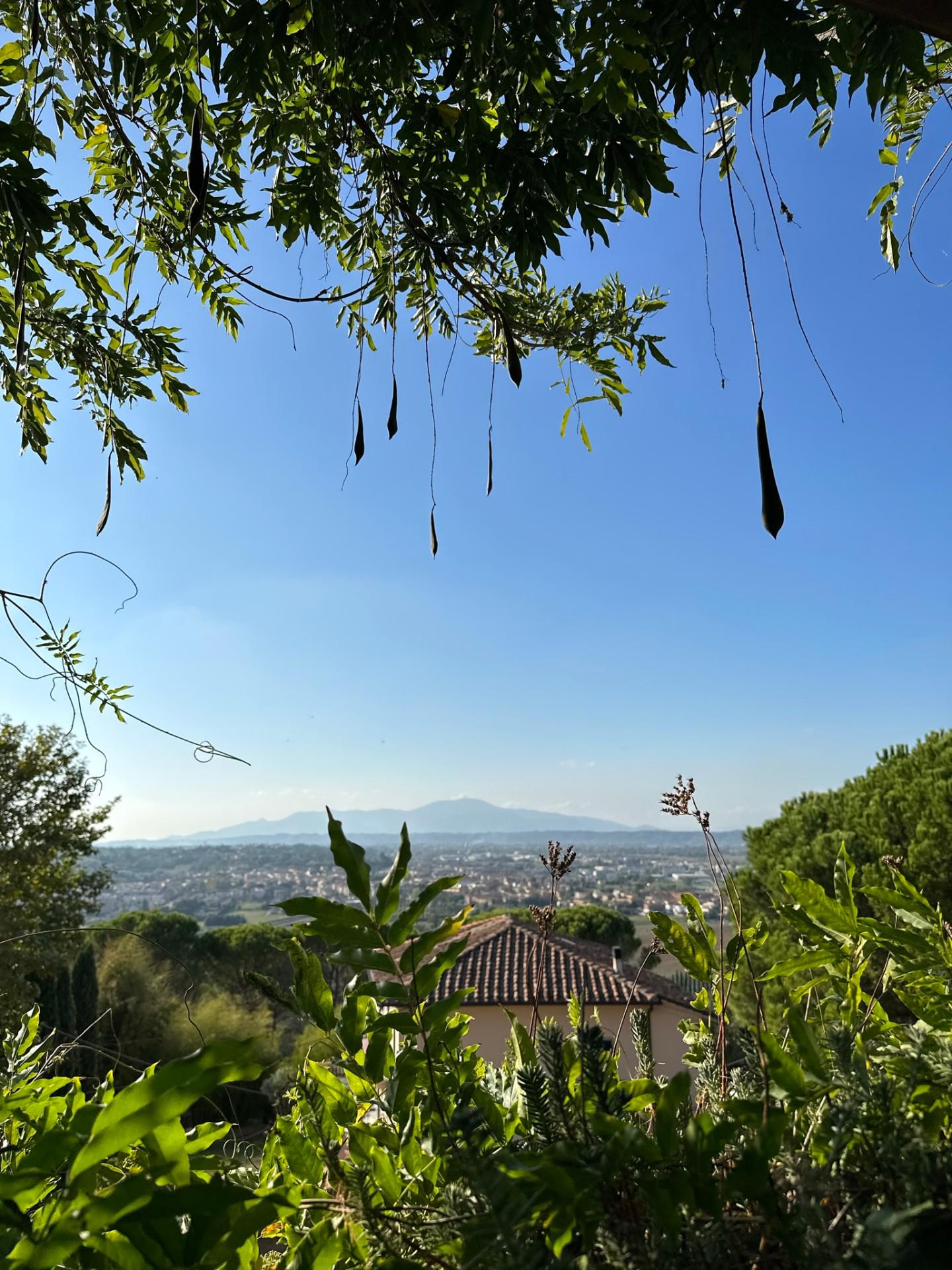 Immagine 61 di Villa in vendita  a San Miniato