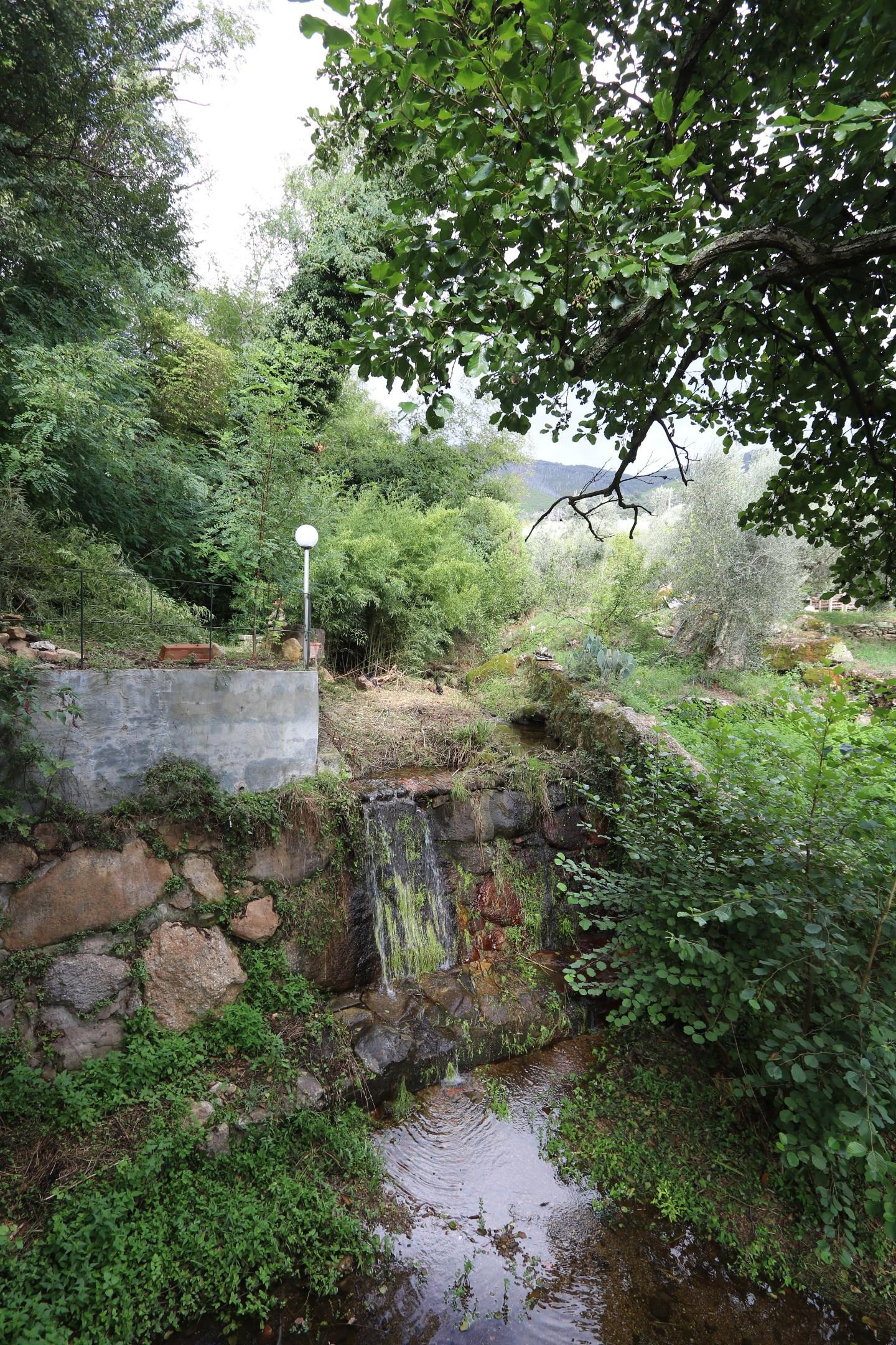 Foto annuncio 13