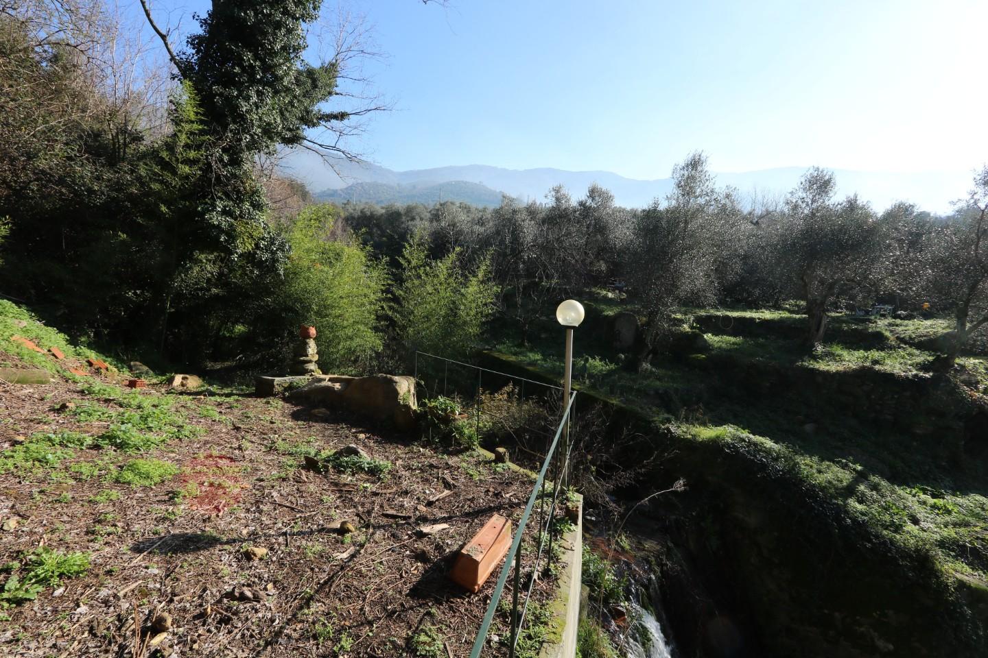 Foto annuncio 11