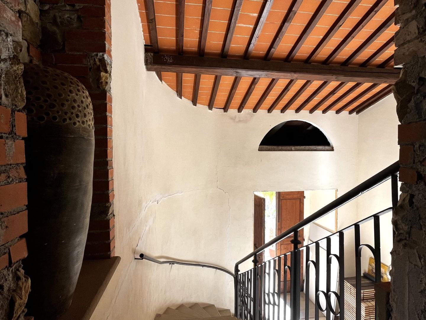 Immagine 39 di Villa in vendita  a Santa Luce