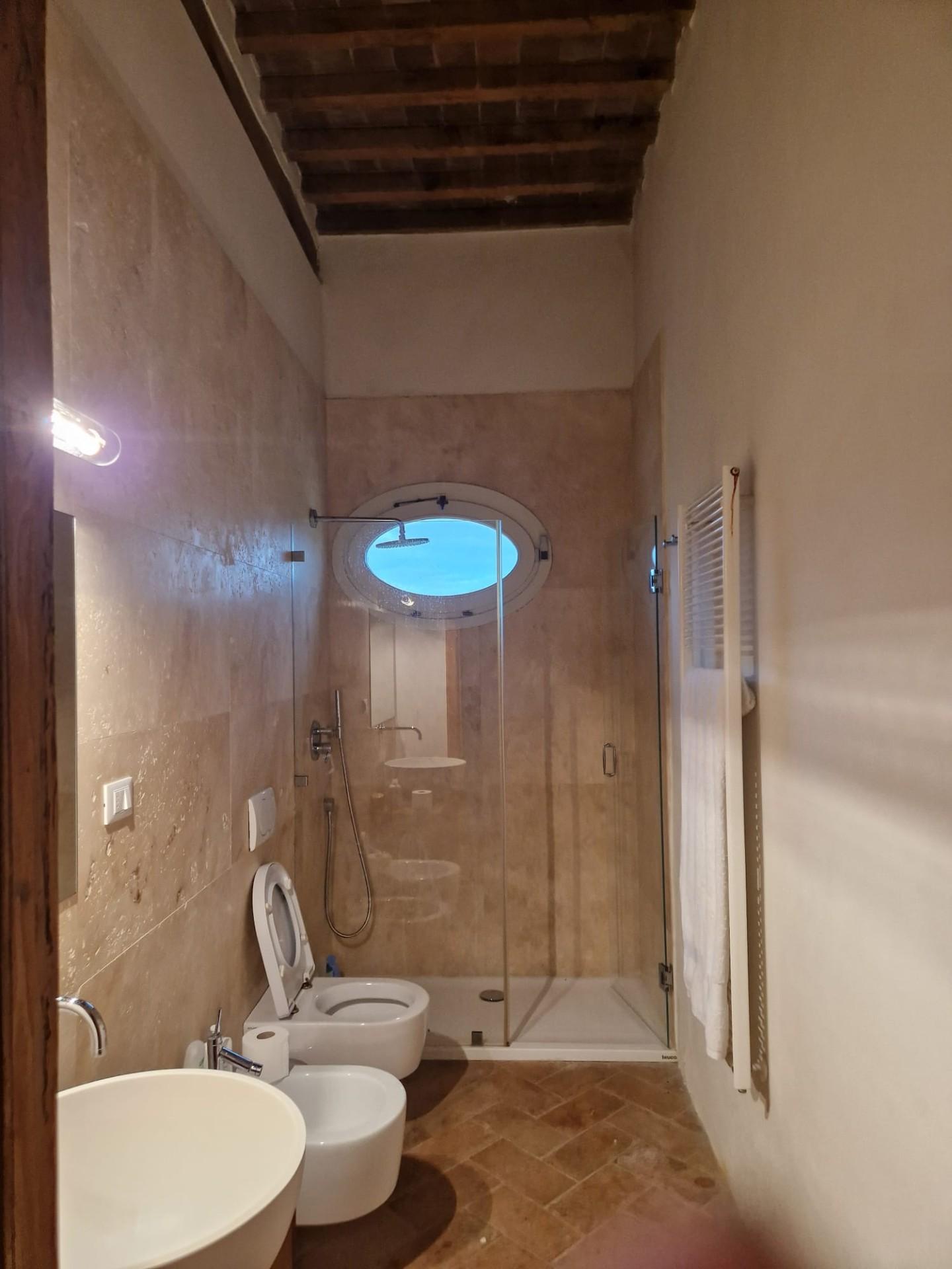 Immagine 31 di Casa colonica in vendita  a San Giuliano Terme