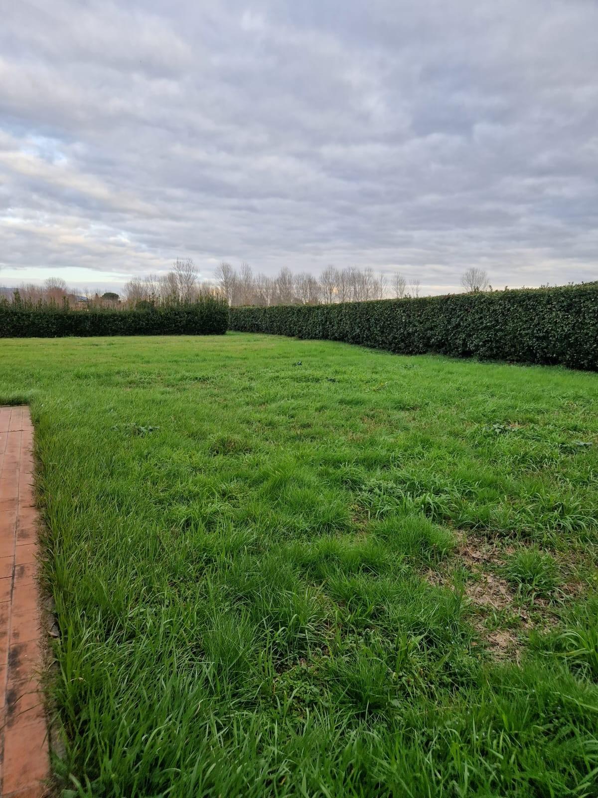 Immagine 35 di Casa colonica in vendita  a San Giuliano Terme