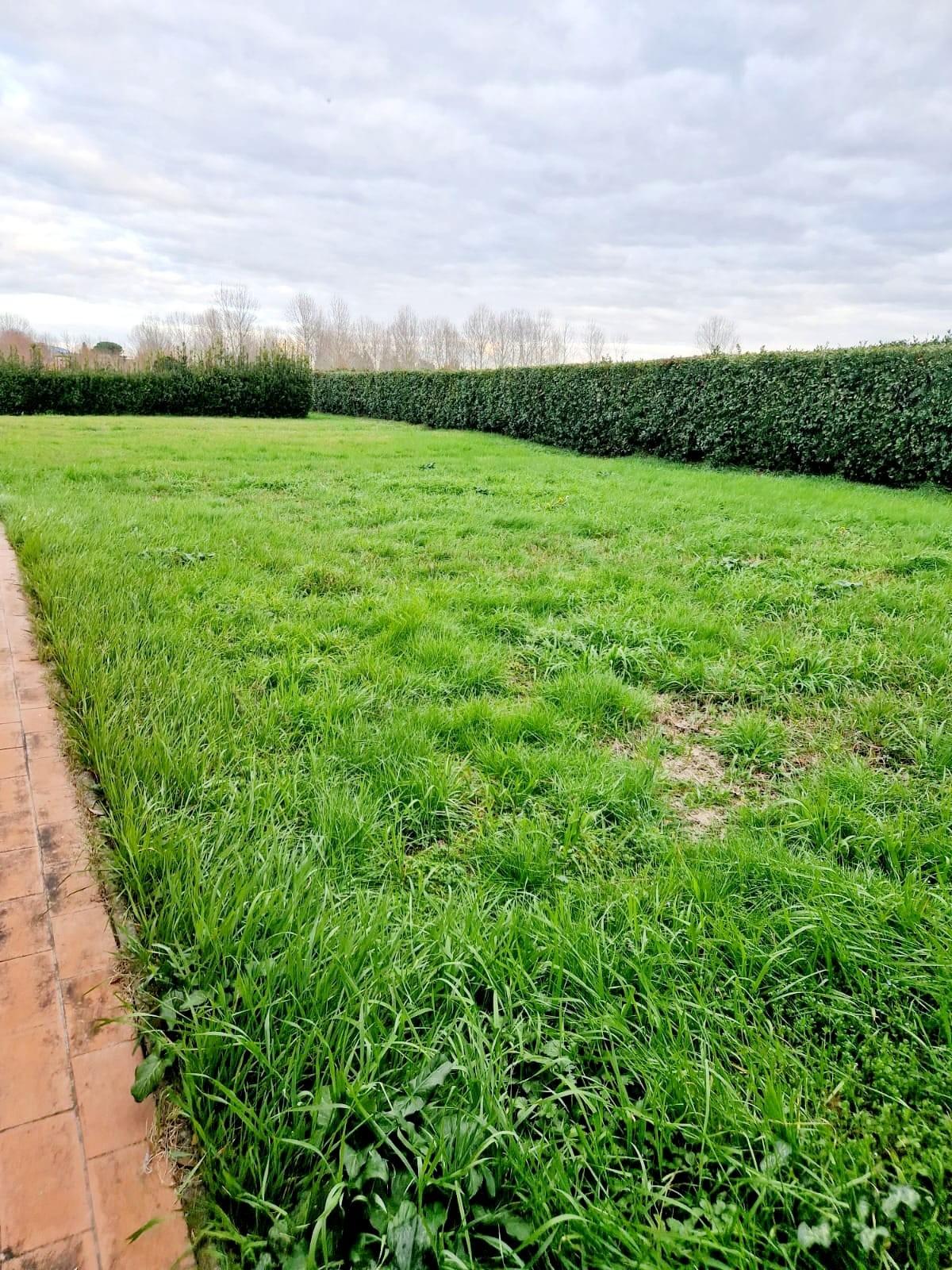 Immagine 37 di Casa colonica in vendita  a San Giuliano Terme