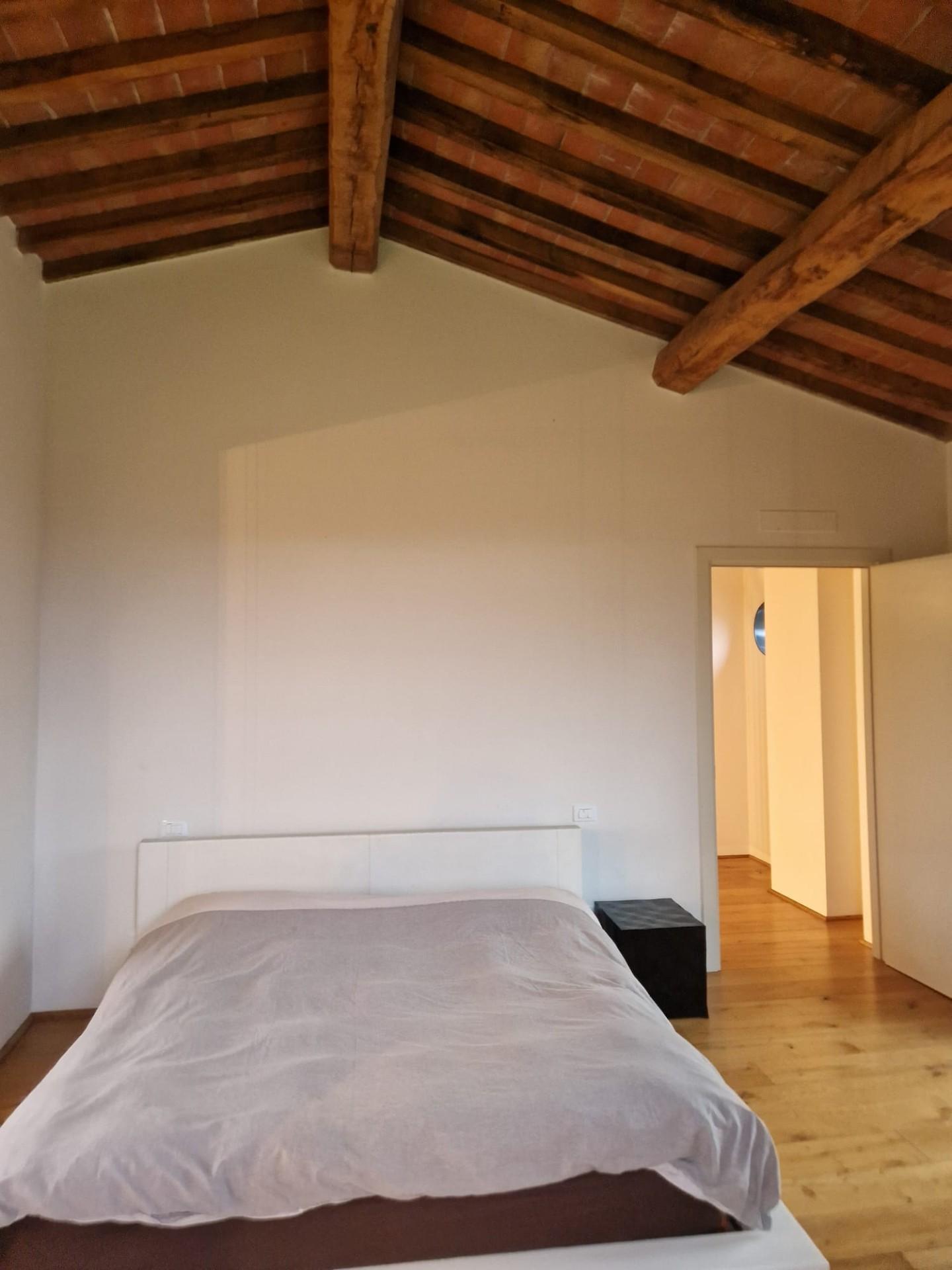 Immagine 25 di Casa colonica in vendita  a San Giuliano Terme