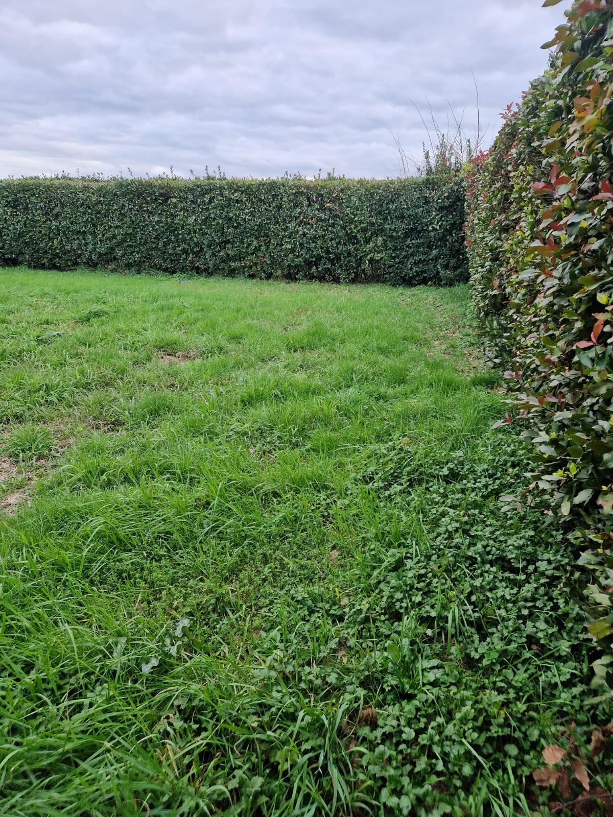 Immagine 36 di Casa colonica in vendita  a San Giuliano Terme