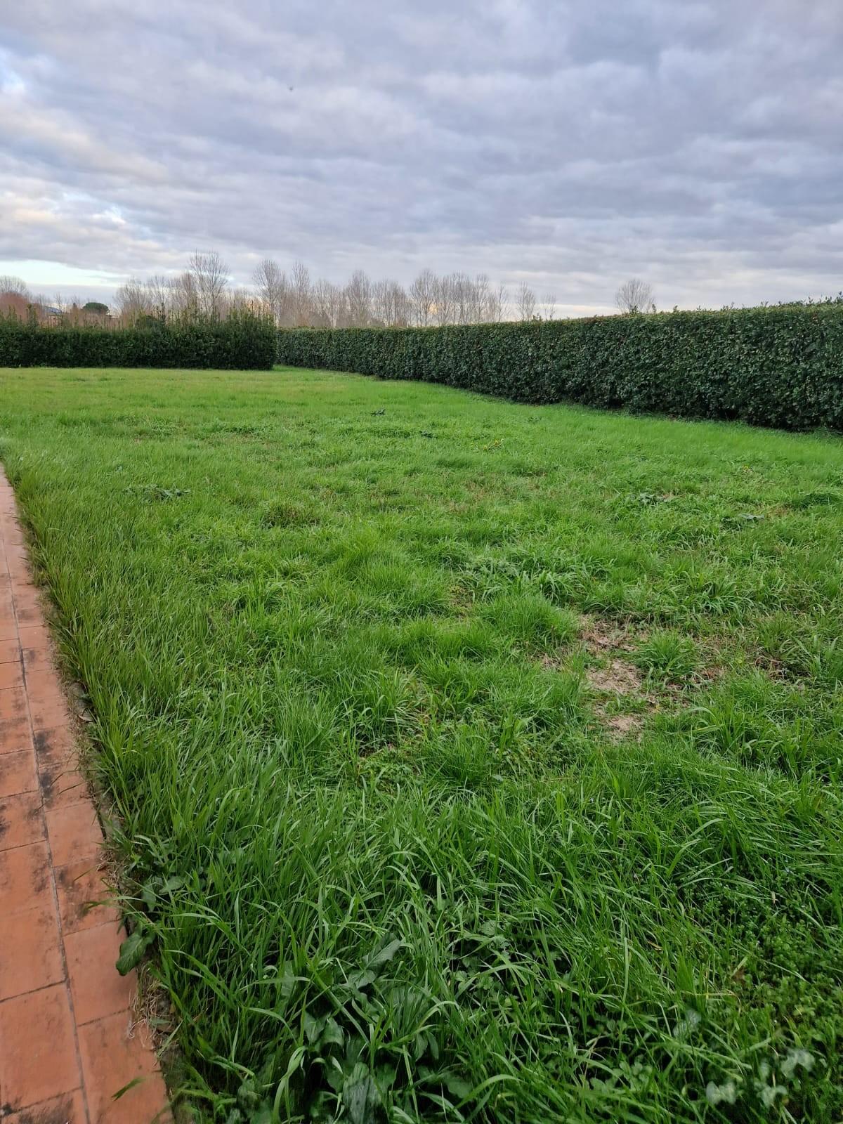 Immagine 34 di Casa colonica in vendita  a San Giuliano Terme
