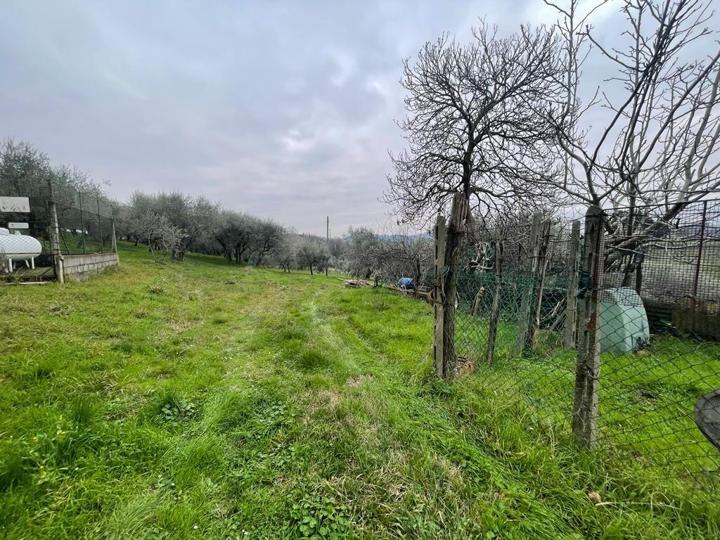 Immagine 4 di Rustico / casale in vendita  a Capannori
