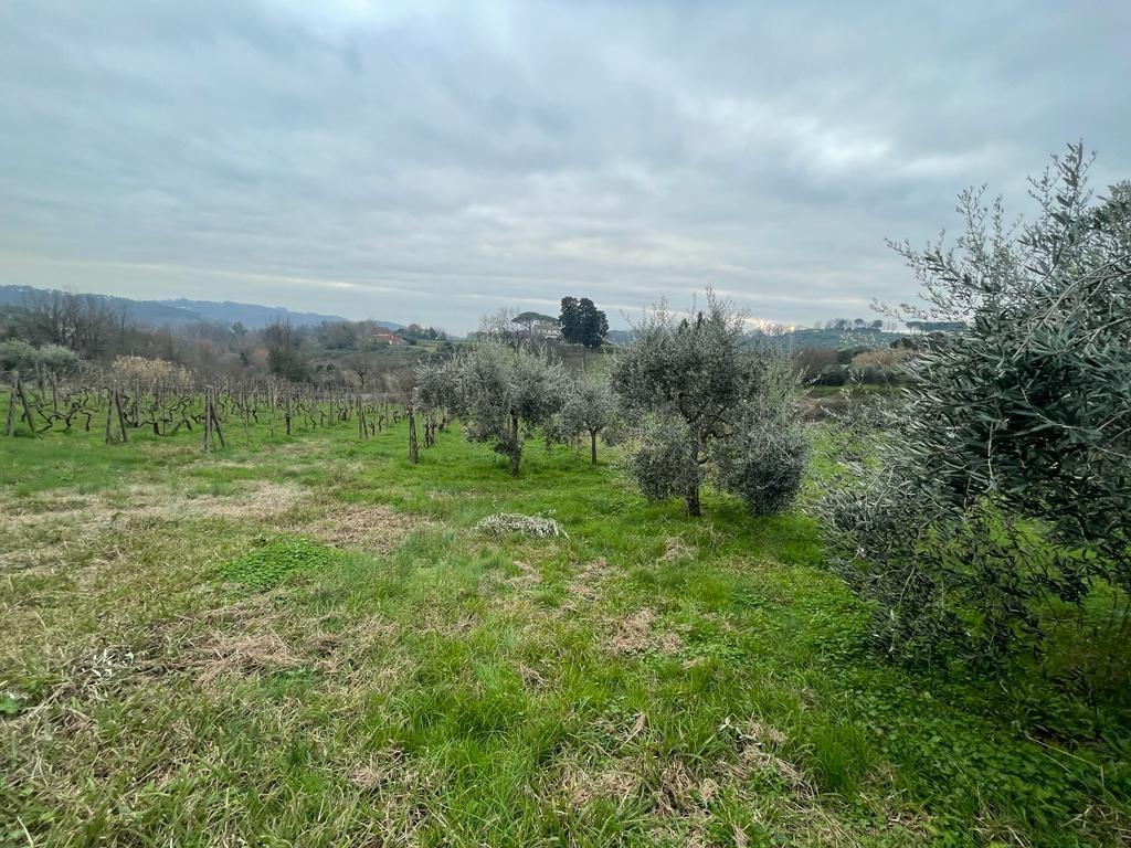 Immagine 24 di Rustico / casale in vendita  a Capannori