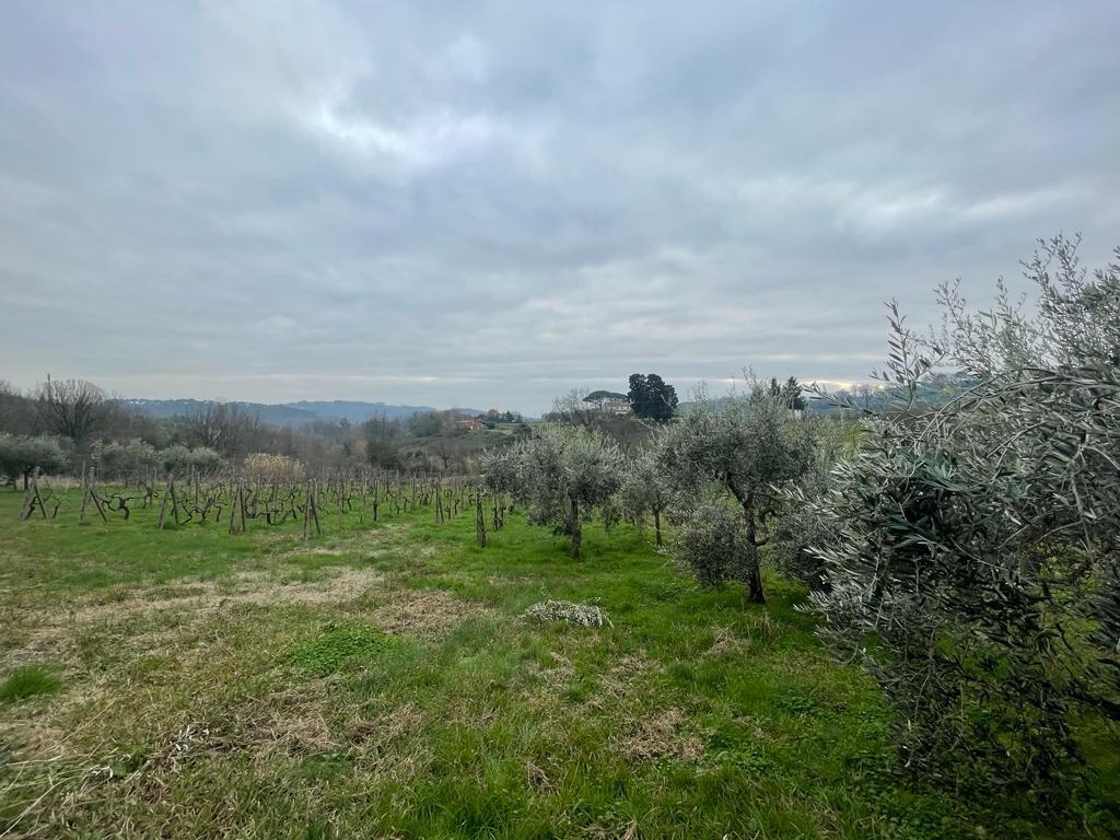 Immagine 12 di Rustico / casale in vendita  a Capannori