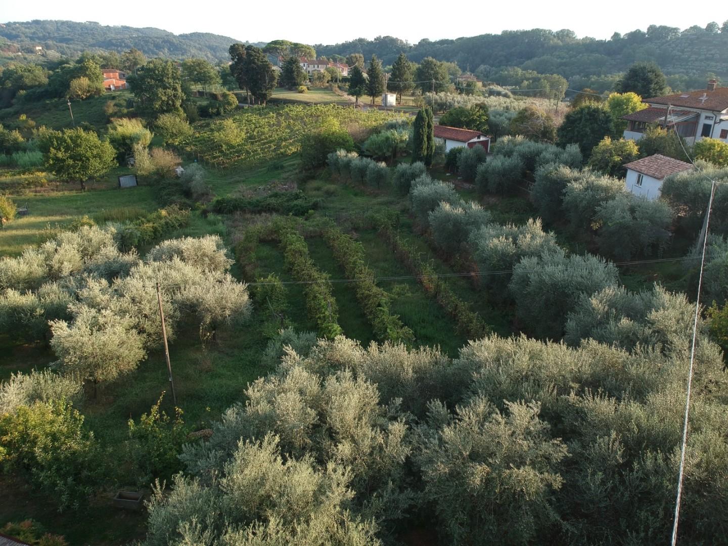 Immagine 48 di Rustico / casale in vendita  a Capannori