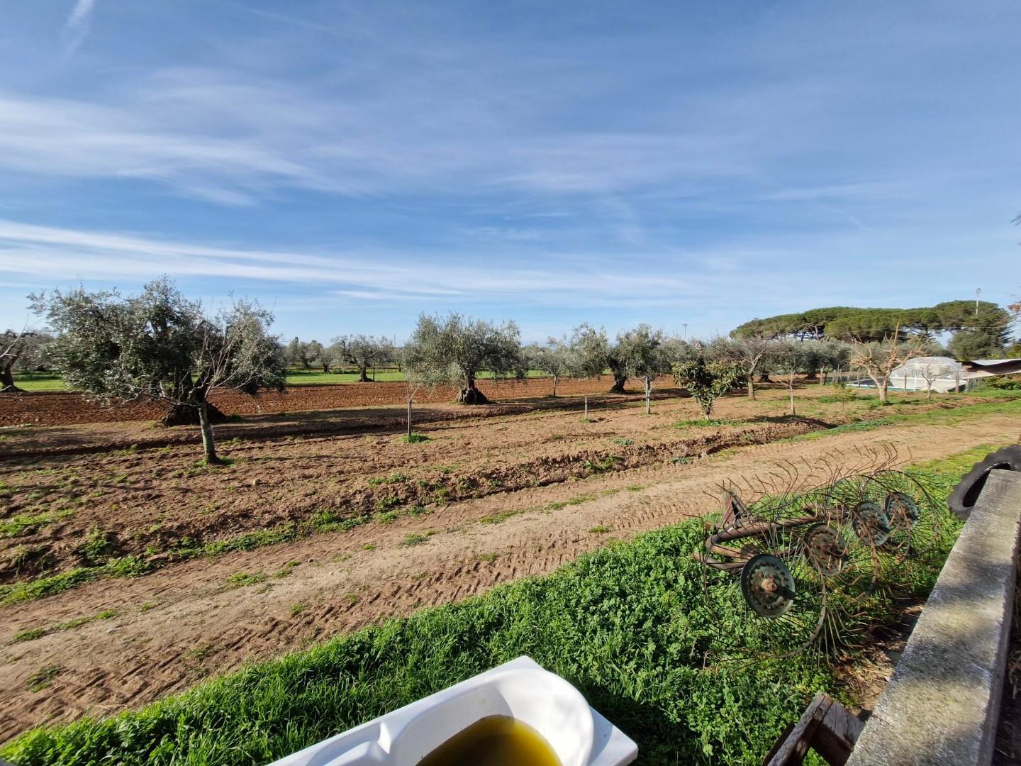 Foto annuncio 11