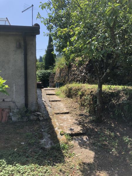 Foto annuncio 11