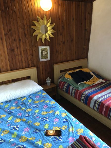 Foto annuncio 7