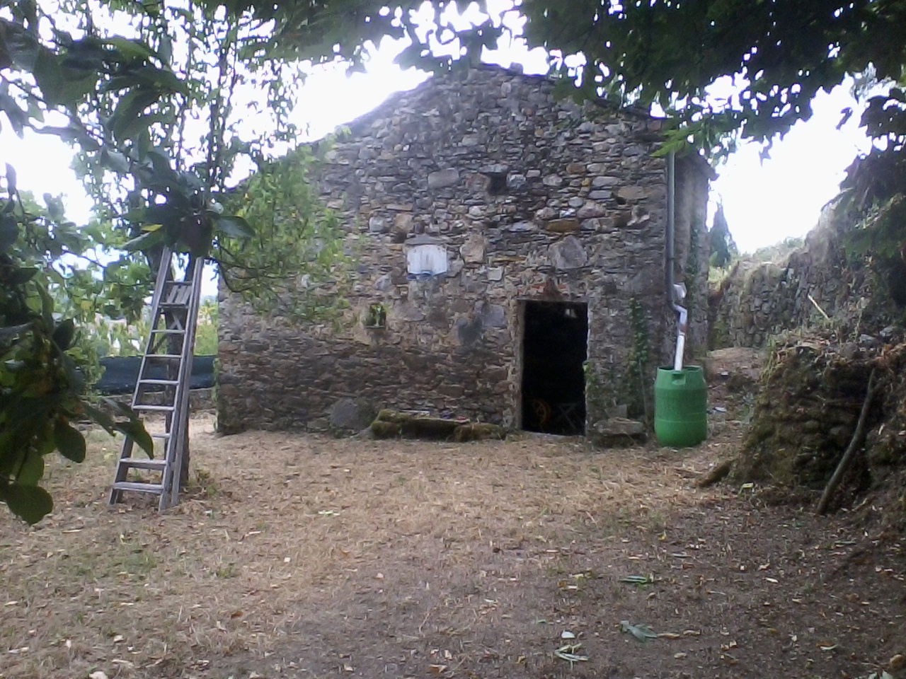 Foto annuncio 15