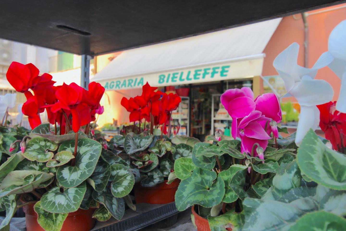 Immagine 16 di Negozio in vendita  a Casciana Terme Lari