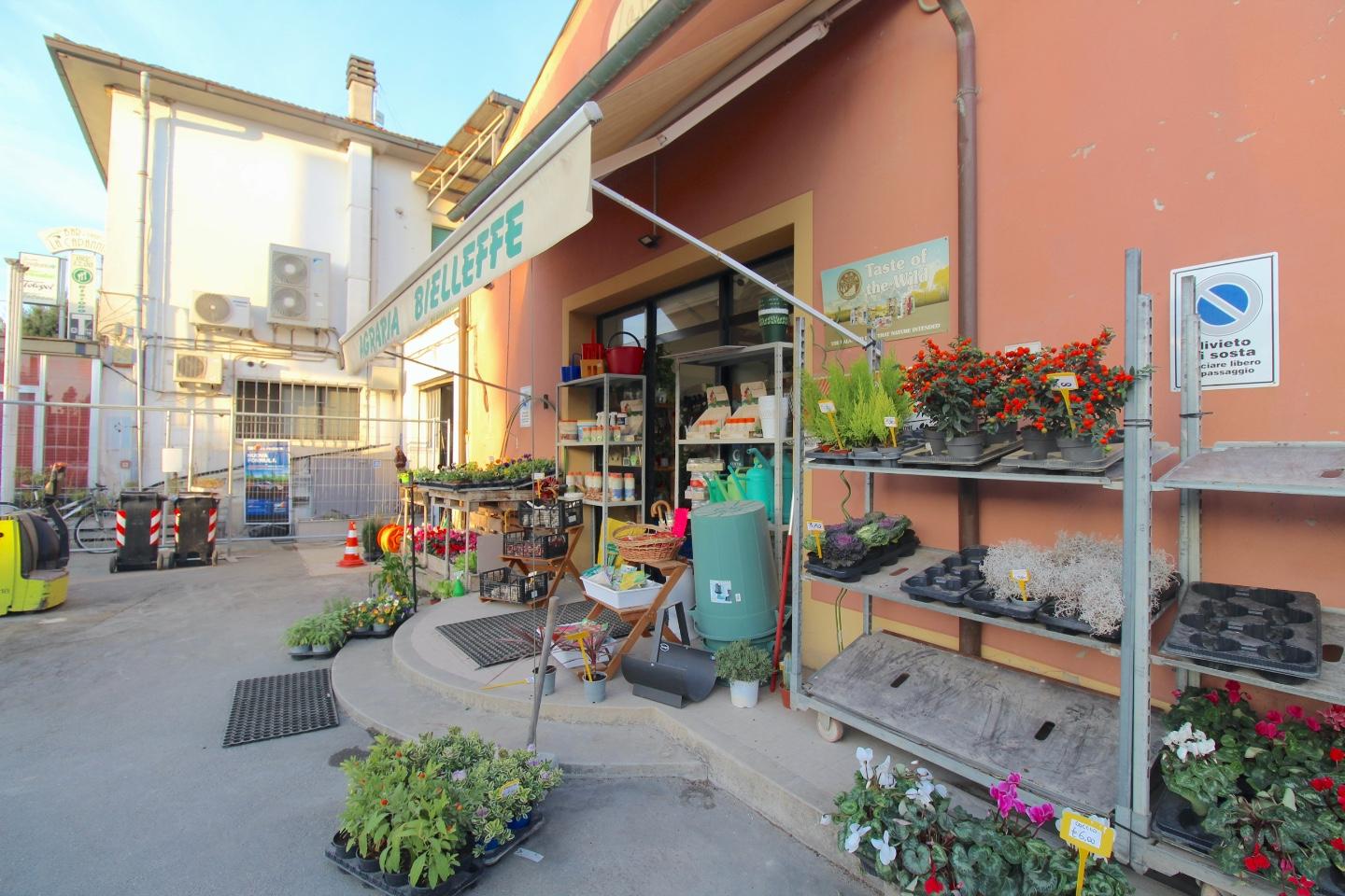 Immagine 18 di Negozio in vendita  a Casciana Terme Lari