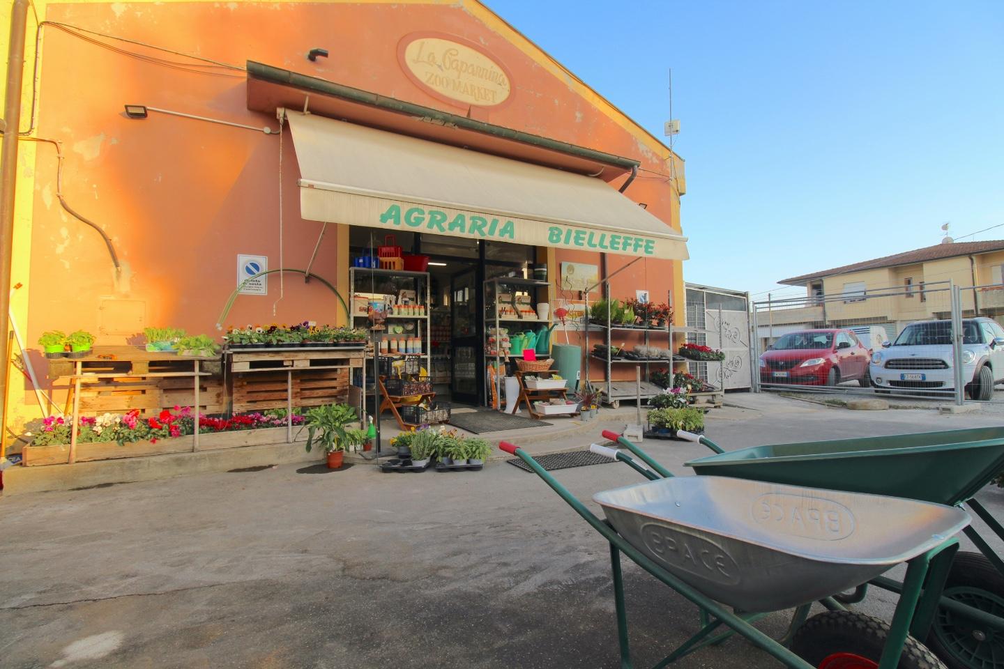 Immagine 2 di Negozio in vendita  a Casciana Terme Lari