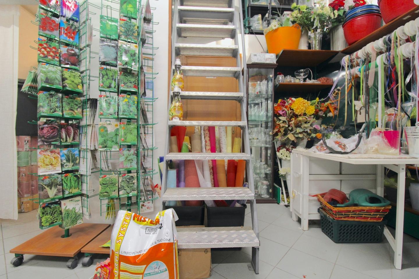 Immagine 11 di Negozio in vendita  a Casciana Terme Lari