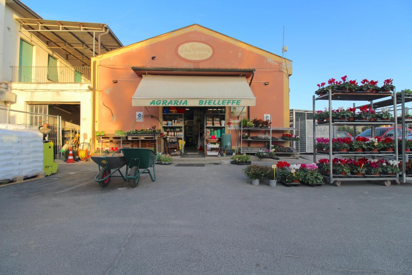 Immagine 19 di Negozio in vendita  a Casciana Terme Lari
