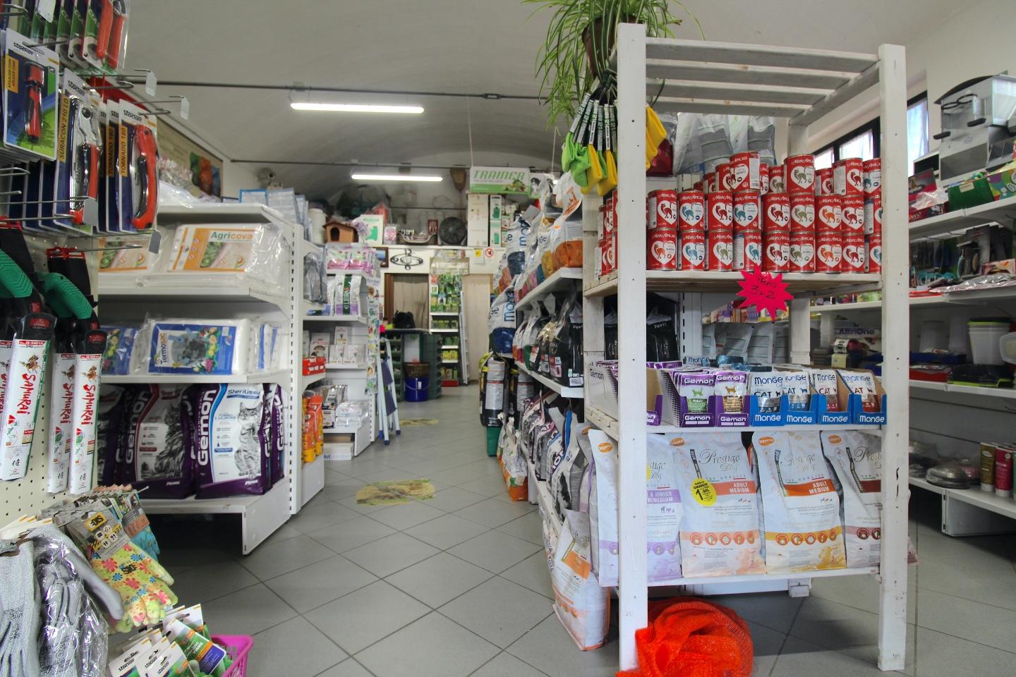 Immagine 4 di Negozio in vendita  a Casciana Terme Lari