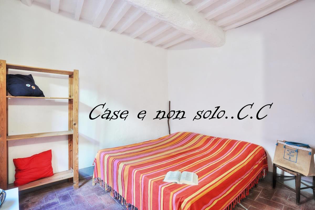 Immagine 11 di Appartamento in vendita  a Castagneto Carducci