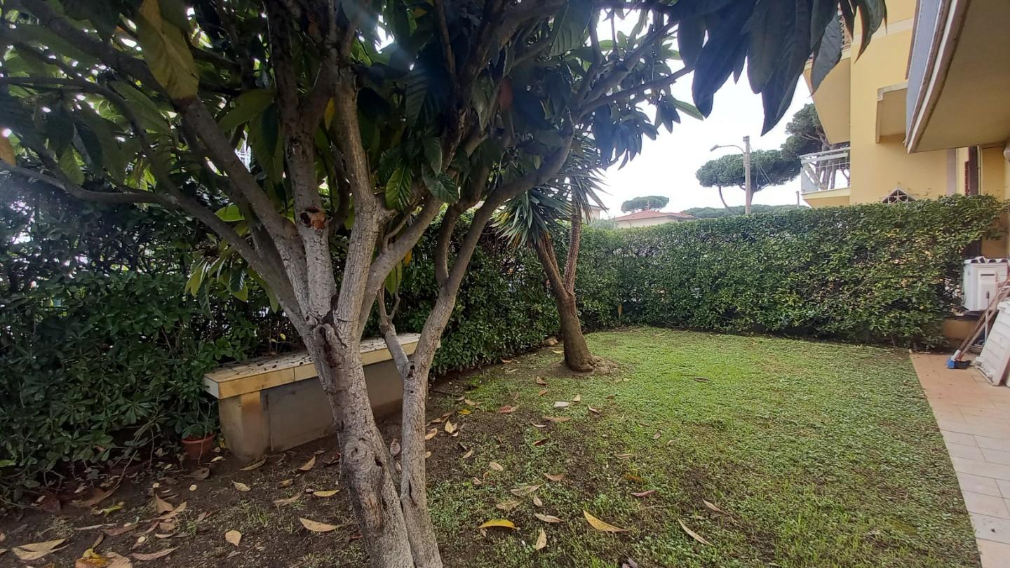 Foto annuncio 29