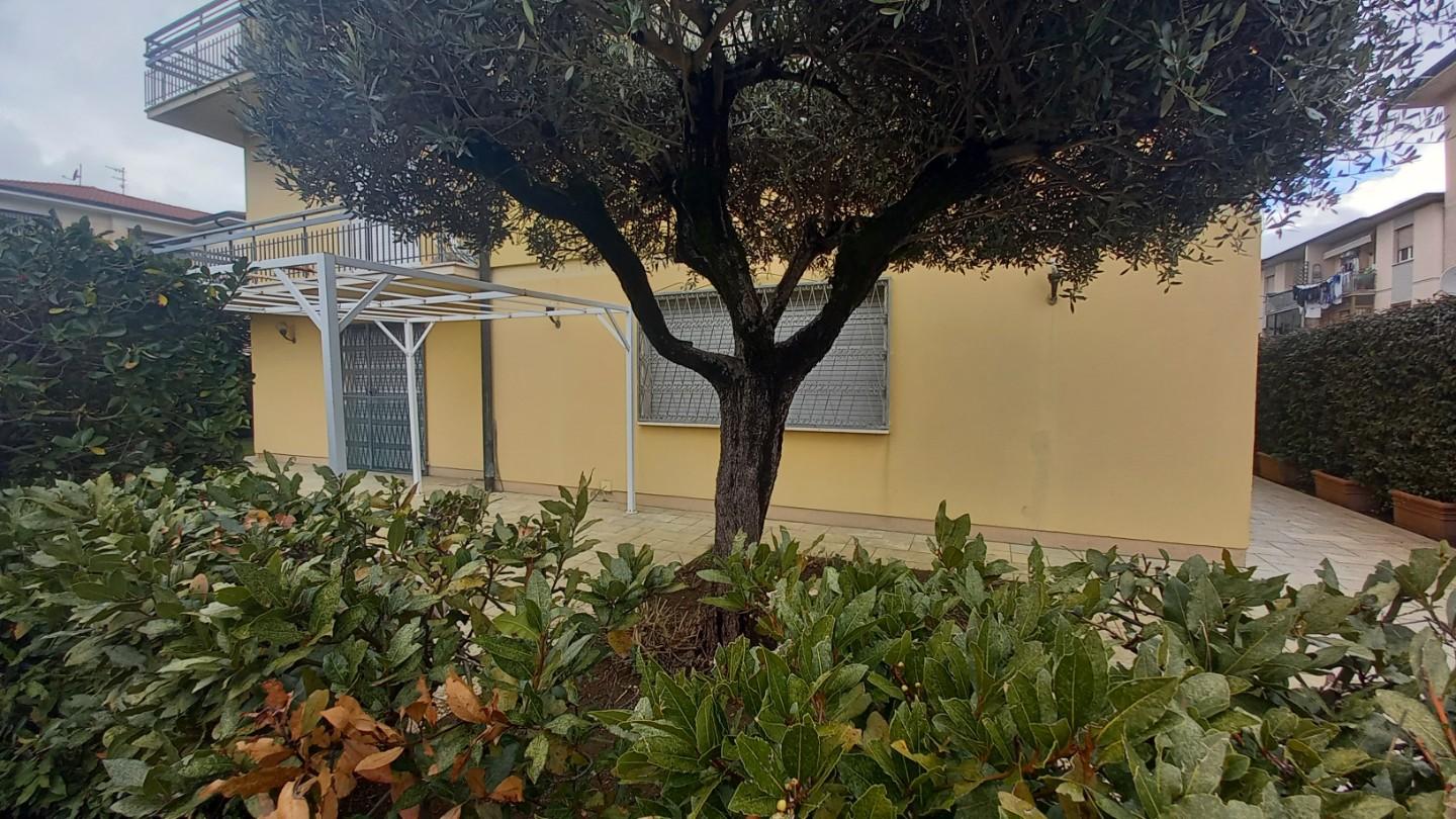 Foto annuncio 12
