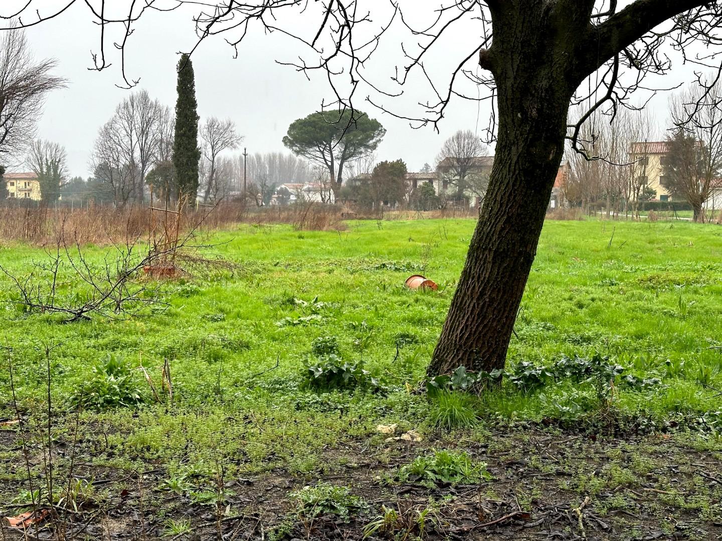 Immagine 23 di Villa in vendita  a Capannori